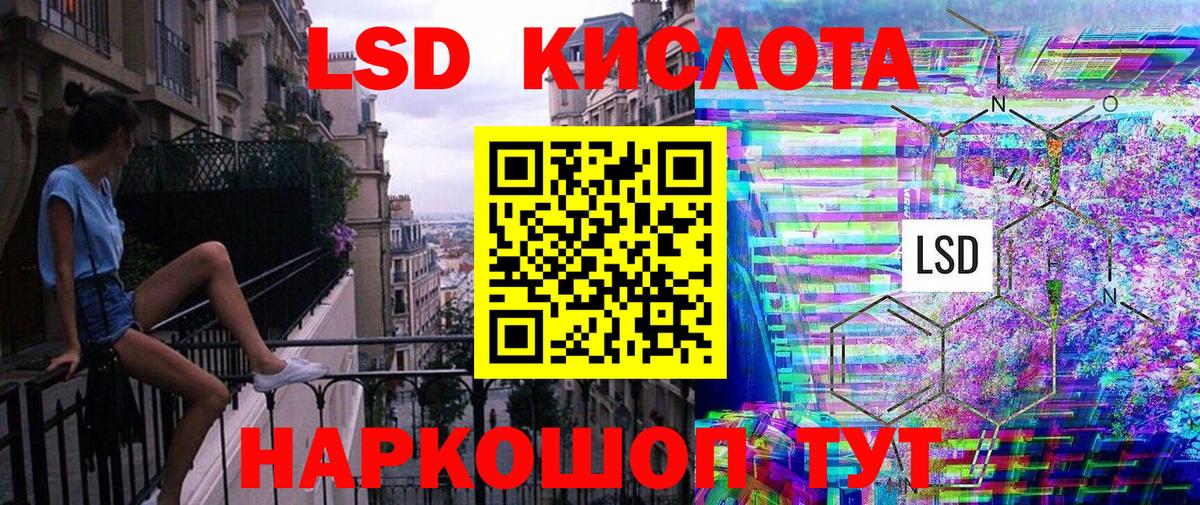 Псилоцибиновые грибы Осинники